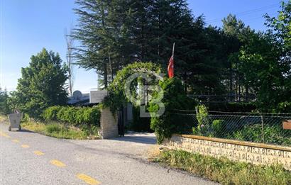 🌿 Ankara Çubuk Taşpınar’da 10.061 m² 2 Tapulu Satılık Çiftlik – Mesken, Bakıcı Evi ve Kargir Samanlık