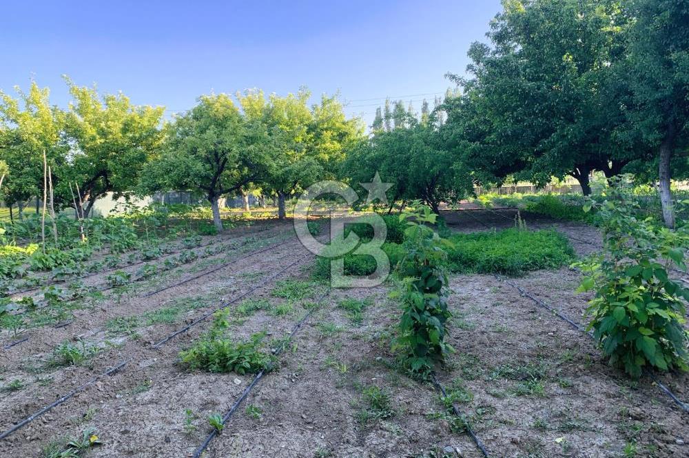 🌿 Ankara Çubuk Taşpınar’da 10.061 m² 2 Tapulu Satılık Çiftlik – Mesken, Bakıcı Evi ve Kargir Samanlık