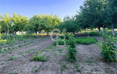 🌿 Ankara Çubuk Taşpınar’da 10.061 m² 2 Tapulu Satılık Çiftlik – Mesken, Bakıcı Evi ve Kargir Samanlık