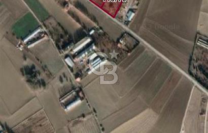 🌿 Ankara Çubuk Taşpınar’da 10.061 m² 2 Tapulu Satılık Çiftlik – Mesken, Bakıcı Evi ve Kargir Samanlık