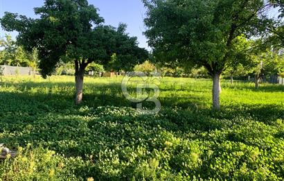 🌿 Ankara Çubuk Taşpınar’da 10.061 m² 2 Tapulu Satılık Çiftlik – Mesken, Bakıcı Evi ve Kargir Samanlık