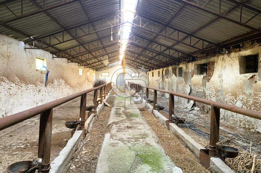 🌿 Ankara Çubuk Taşpınar’da 10.061 m² 2 Tapulu Satılık Çiftlik – Mesken, Bakıcı Evi ve Kargir Samanlık