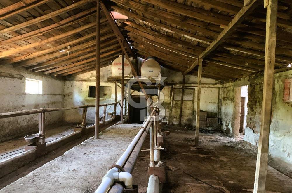 🌿 Ankara Çubuk Taşpınar’da 10.061 m² 2 Tapulu Satılık Çiftlik – Mesken, Bakıcı Evi ve Kargir Samanlık