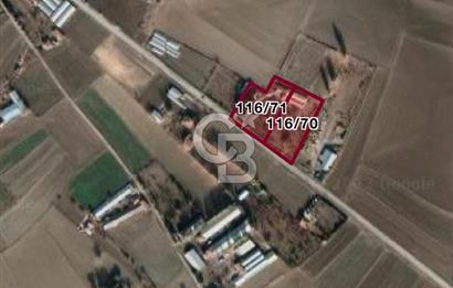 🌿 Ankara Çubuk Taşpınar’da 10.061 m² 2 Tapulu Satılık Çiftlik – Mesken, Bakıcı Evi ve Kargir Samanlık