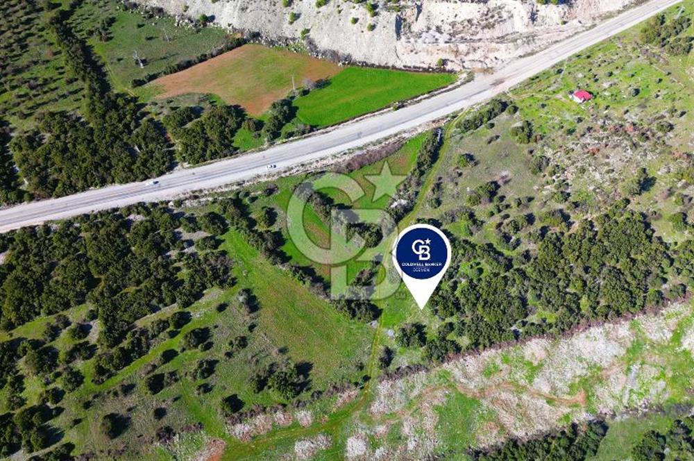 Muğla menteşe Kafaca Mahallesi’nde satılık 24.000 metrekare arazi