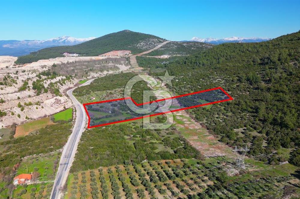 Muğla menteşe Kafaca Mahallesi’nde satılık 24.000 metrekare arazi