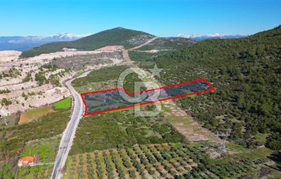 Muğla menteşe Kafaca Mahallesi’nde satılık 24.000 metrekare arazi