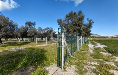 FOÇA GERENKÖY’DE ÇEVRİLİ | YOLU AÇIK | DENİZE YAKIN KONUM