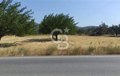 Burhaniye Börezli'de Satılık Ana Yola Cephe 4 Dönüm Tarla