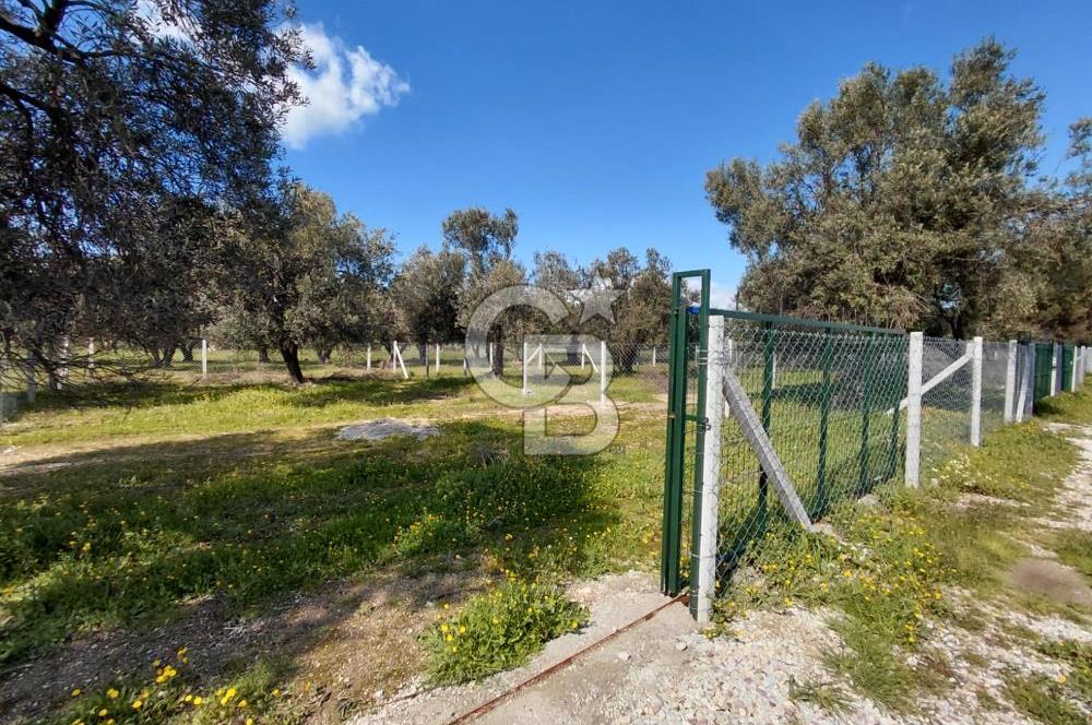 FOÇA GERENKÖY’DE ÇEVRİLİ | YOLU AÇIK | DENİZE YAKIN KONUM