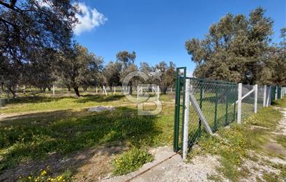 FOÇA GERENKÖY’DE ÇEVRİLİ | YOLU AÇIK | DENİZE YAKIN KONUM