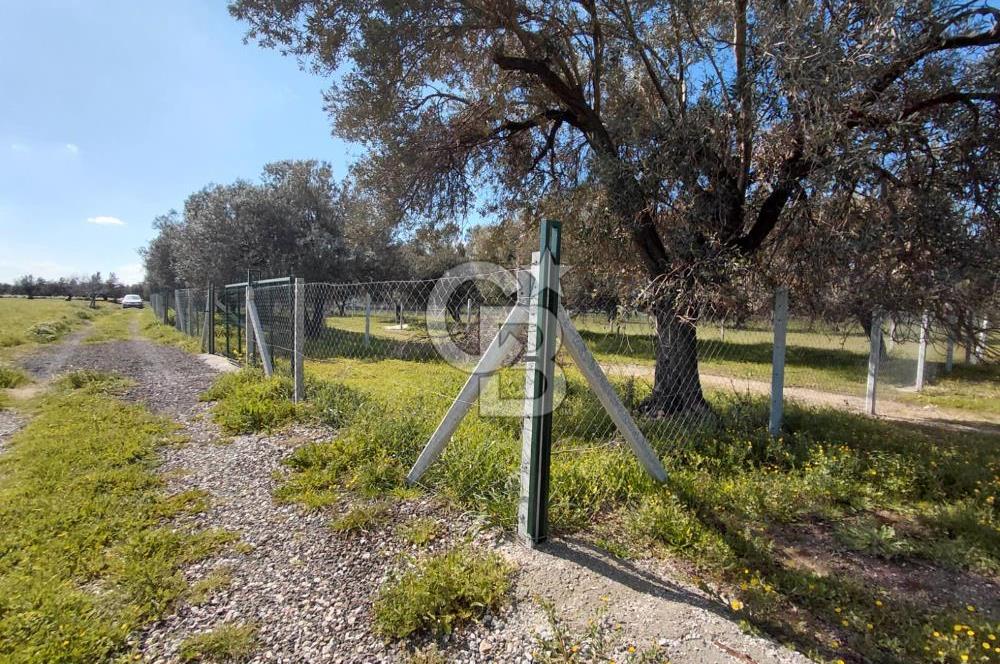 FOÇA GERENKÖY’DE ÇEVRİLİ | YOLU AÇIK | DENİZE YAKIN KONUM