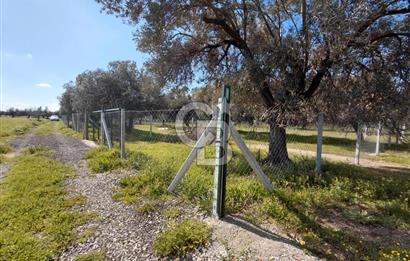 FOÇA GERENKÖY’DE ÇEVRİLİ | YOLU AÇIK | DENİZE YAKIN KONUM