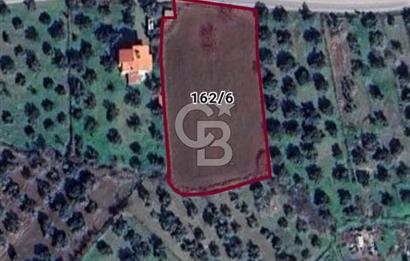 Burhaniye Börezli'de Satılık Ana Yola Cephe 4 Dönüm Tarla