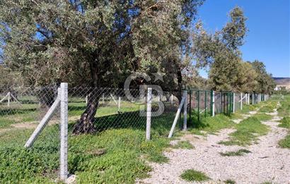 FOÇA GERENKÖY’DE ÇEVRİLİ | YOLU AÇIK | DENİZE YAKIN KONUM