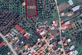 Burhaniye Börezli'de Satılık Ana Yola Cephe 4 Dönüm Tarla - 1 - 336520