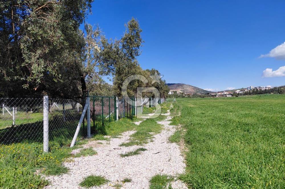 FOÇA GERENKÖY’DE ÇEVRİLİ | YOLU AÇIK | DENİZE YAKIN KONUM