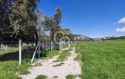 FOÇA GERENKÖY’DE ÇEVRİLİ | YOLU AÇIK | DENİZE YAKIN KONUM