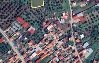 Burhaniye Börezli'de Satılık Ana Yola Cephe 4 Dönüm Tarla