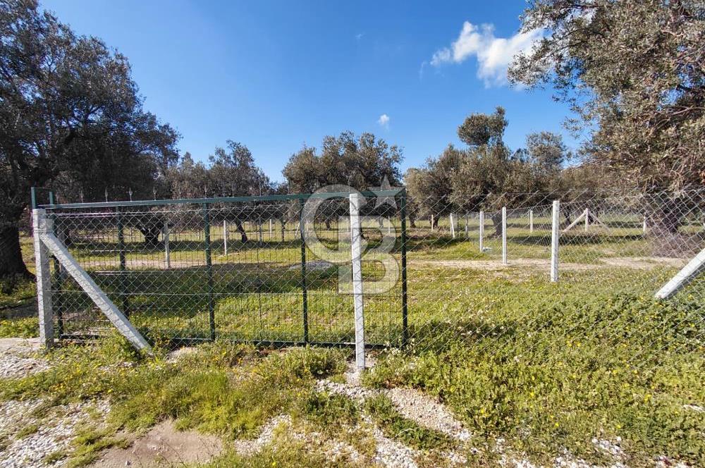 FOÇA GERENKÖY’DE ÇEVRİLİ | YOLU AÇIK | DENİZE YAKIN KONUM