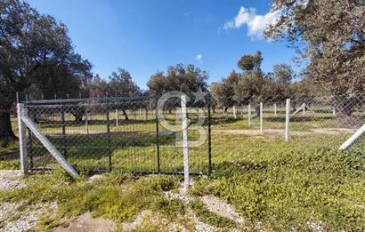 FOÇA GERENKÖY’DE ÇEVRİLİ | YOLU AÇIK | DENİZE YAKIN KONUM