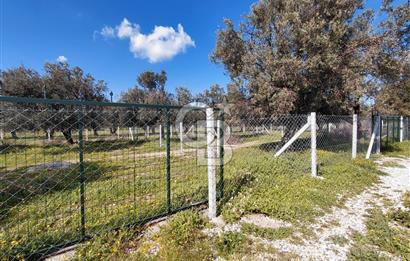 FOÇA GERENKÖY’DE ÇEVRİLİ | YOLU AÇIK | DENİZE YAKIN KONUM