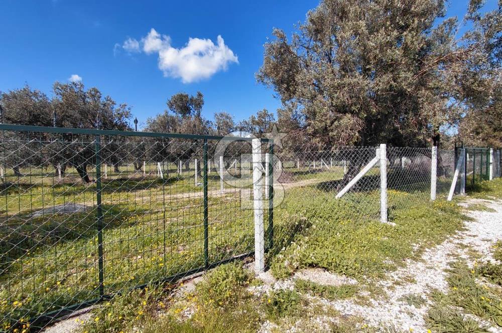 FOÇA GERENKÖY’DE ÇEVRİLİ | YOLU AÇIK | DENİZE YAKIN KONUM