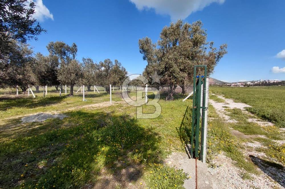 FOÇA GERENKÖY’DE ÇEVRİLİ | YOLU AÇIK | DENİZE YAKIN KONUM