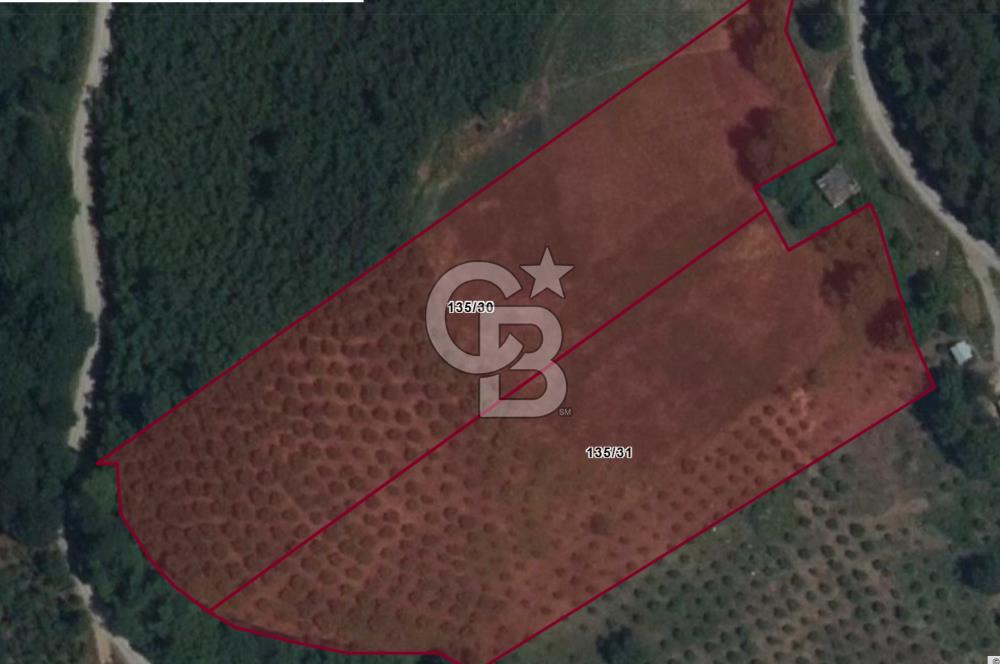 ZAFER MAHALLE'SİNDE SATILIK TARLA.