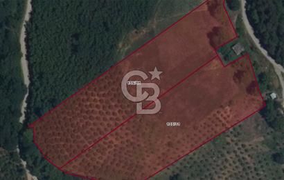 ZAFER MAHALLE'SİNDE SATILIK TARLA.