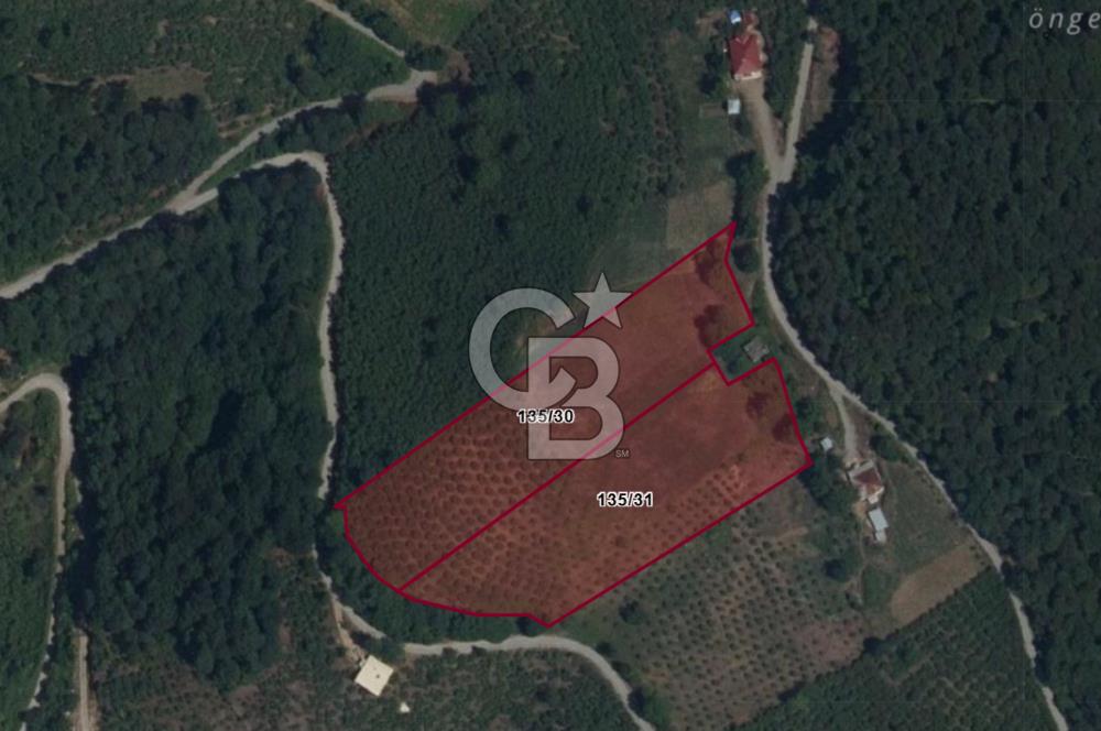 ZAFER MAHALLE'SİNDE SATILIK TARLA.