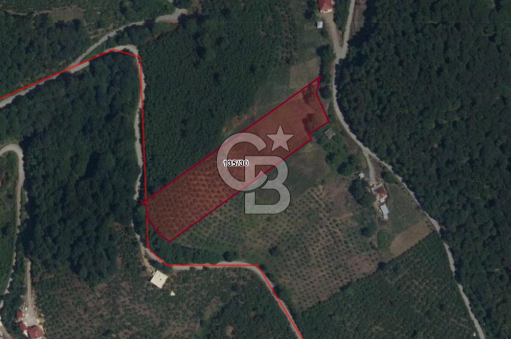 ZAFER MAHALLE'SİNDE SATILIK TARLA.