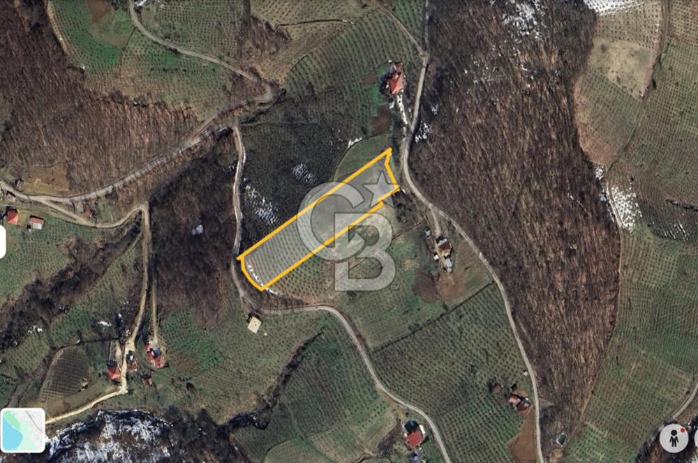 ZAFER MAHALLE'SİNDE SATILIK TARLA.