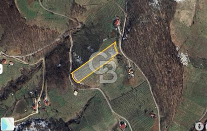 ZAFER MAHALLE'SİNDE SATILIK TARLA.