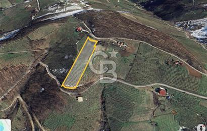 ZAFER MAHALLE'SİNDE SATILIK TARLA.