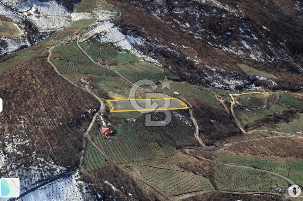 ZAFER MAHALLE'SİNDE SATILIK TARLA.