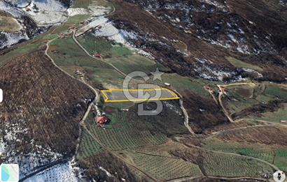 ZAFER MAHALLE'SİNDE SATILIK TARLA.