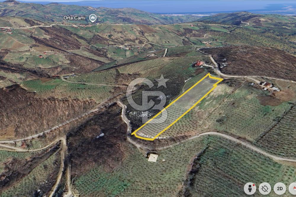 ZAFER MAHALLE'SİNDE SATILIK TARLA.