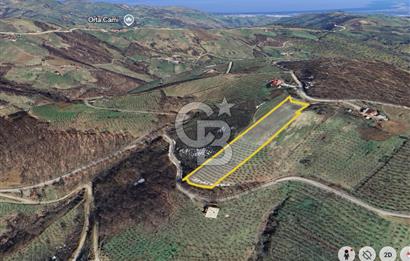 ZAFER MAHALLE'SİNDE SATILIK TARLA.