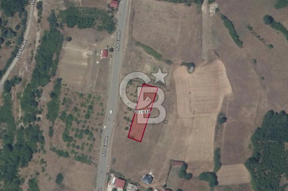 İMAR SINIRINDA PLANI HAZIRLANMIŞ SATILIK TARLA.