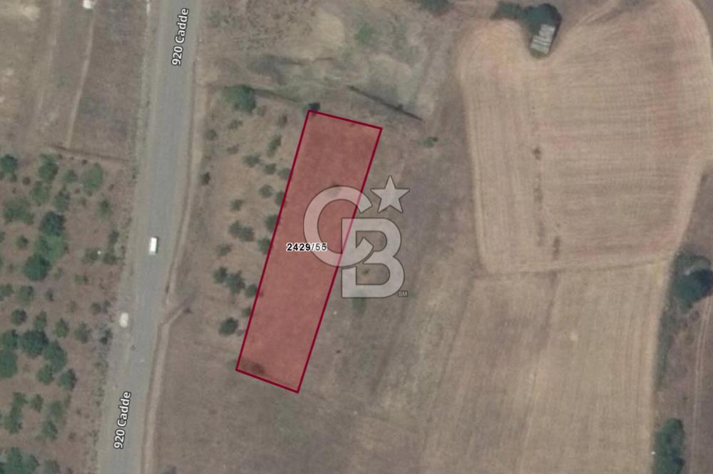 İMAR SINIRINDA PLANI HAZIRLANMIŞ SATILIK TARLA.