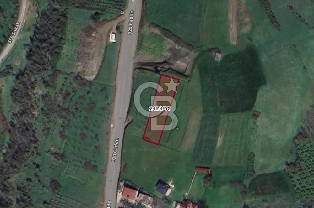 İMAR SINIRINDA PLANI HAZIRLANMIŞ SATILIK TARLA.