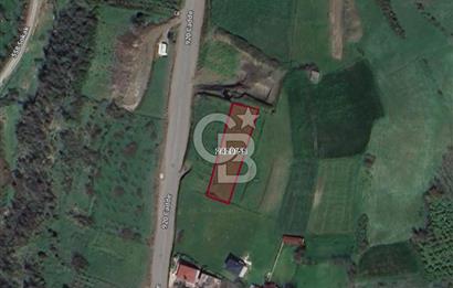 İMAR SINIRINDA PLANI HAZIRLANMIŞ SATILIK TARLA.