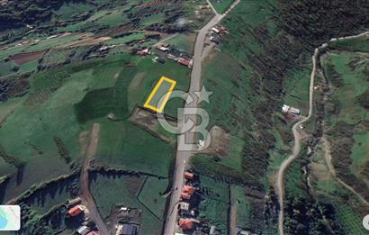 İMAR SINIRINDA PLANI HAZIRLANMIŞ SATILIK TARLA.