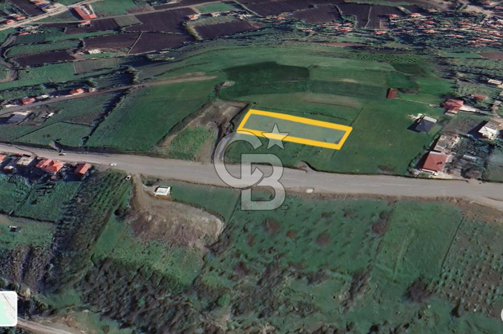 İMAR SINIRINDA PLANI HAZIRLANMIŞ SATILIK TARLA.