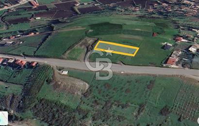 İMAR SINIRINDA PLANI HAZIRLANMIŞ SATILIK TARLA.