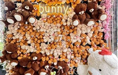 DEVREN KİRALIK ÇOCUK PARTİ EVİ