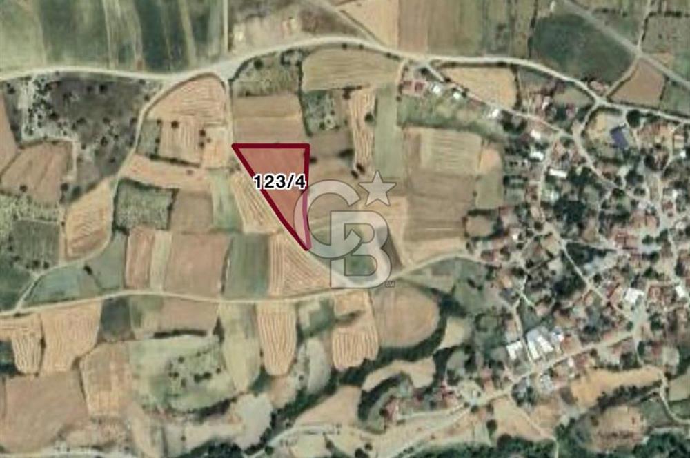 İmara 1.Parsel Satılık Tarla