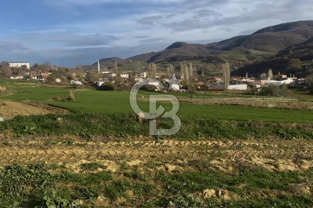 İmara 1.Parsel Satılık Tarla