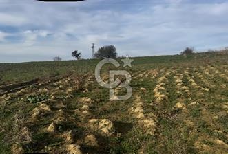 İmara 1.Parsel Satılık Tarla - 8 - 336507